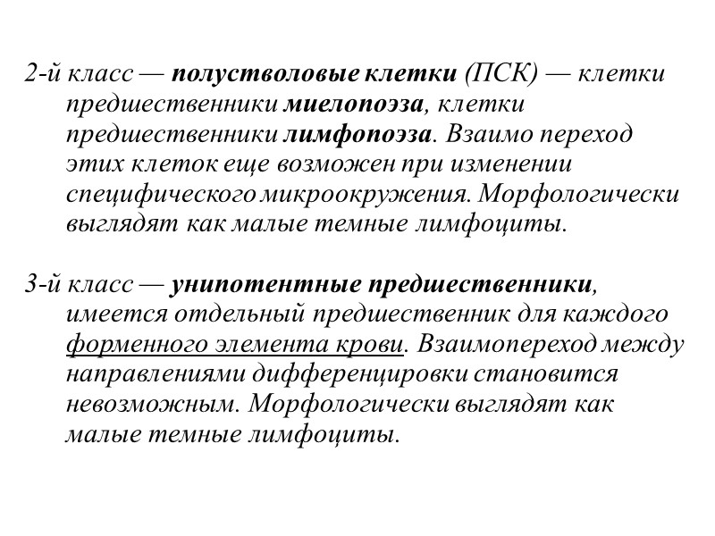 2-й класс — полустволовые клетки (ПСК) — клетки предшественники миелопоэза, клетки предшественники лимфопоэза. Взаимо